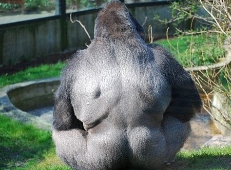 뒷모습 ㄷㄷㄷㄷㄷㄷ | 인스티즈