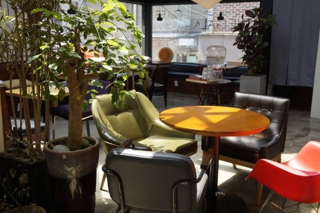 Part.2 데이트하기 좋은 이색&테마 카페 모음 합정/상수/홍대 | 인스티즈