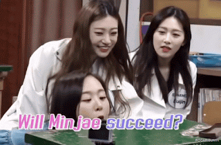 딱지 부는 소나무 움짤 | 인스티즈