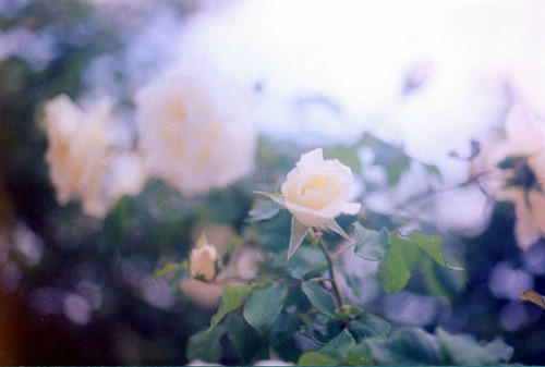 같이 있으면서도 늘 내것이지 못했던 사람아 | 인스티즈