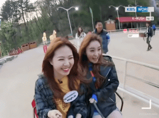 딱지 부는 소나무 움짤 | 인스티즈