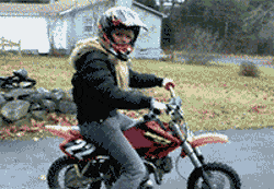 바보들 퍼레이드... | 인스티즈