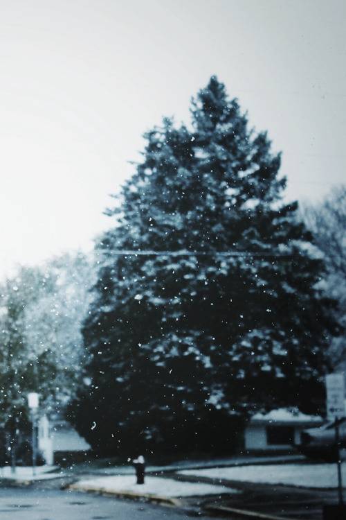 그는 거기에 잘 있다. 나는 여기에 잘 있다. 더 이상 우리가 아닌 우리 | 인스티즈