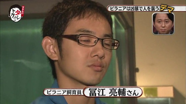 흉폭하고 사람을 씹어먹는 걸로 알려진 피라냐에 대한 진.실. 두둥 (일본예능캡쳐) | 인스티즈