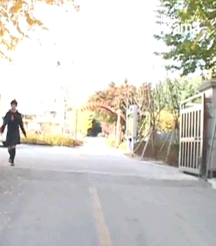 징짱 대상기념 | 인스티즈