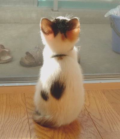 뒷모습 ㄷㄷㄷㄷㄷㄷ | 인스티즈