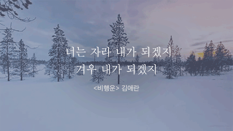 오랫동안 기억 되는 책 속의 문장들 | 인스티즈