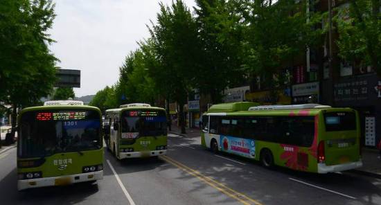  시내버스들이 난폭한 것으로 유명하다는 도시들 | 인스티즈