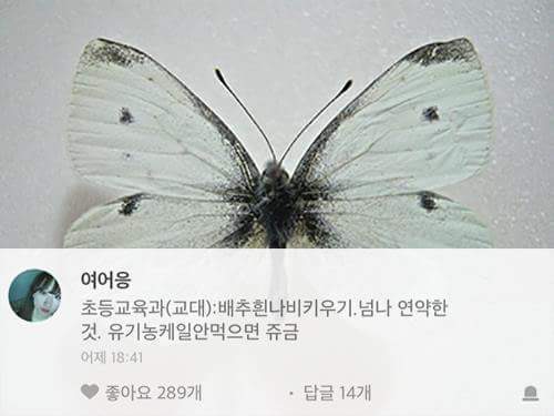 대학생들 소름 돋는 대학 학과별 황당과제 | 인스티즈