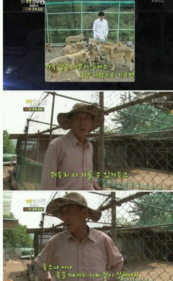 사기 당해서 늑대 키우는 집 | 인스티즈