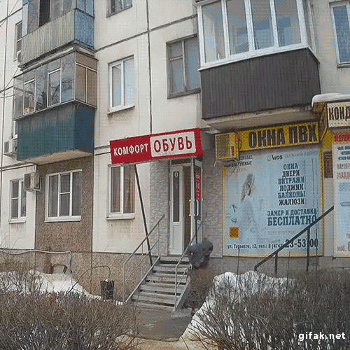 로또를 사면 안되는 여자 | 인스티즈