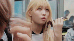 잘 먹는 모모.gif | 인스티즈