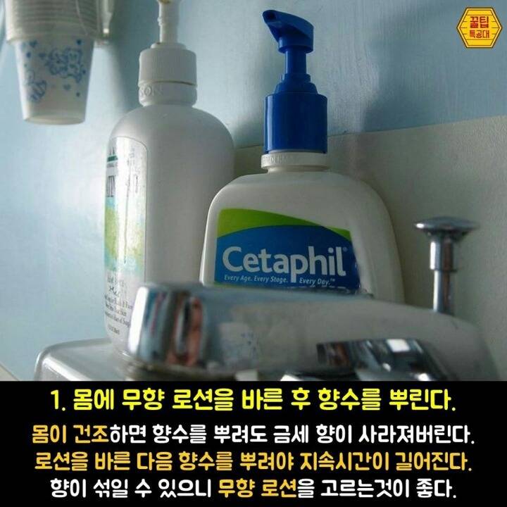 향수 제대로 뿌리는 7가지 방법 | 인스티즈