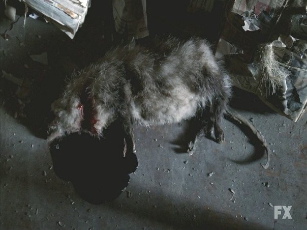 미드) 아메리칸 호러 스토리(아호스) 시즌1 1-1 *무서움, 깜놀, 혐짤주의* | 인스티즈