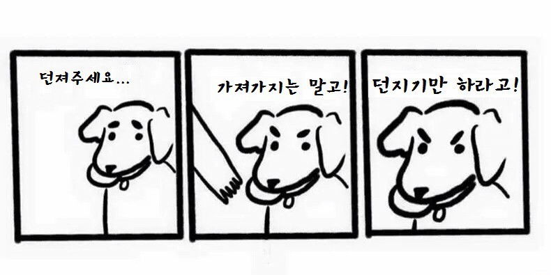 던지기 놀이를 하자는 개들의 논리 | 인스티즈