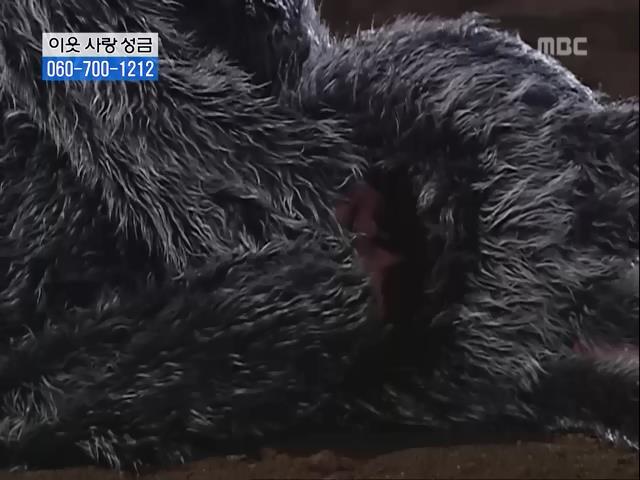 [거침없이하이킥] 닳고 닳은 여자 에피소드.jpg | 인스티즈