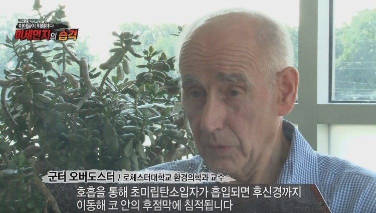 미세먼지가 위험한 진짜 이유 | 인스티즈