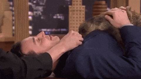 동물덕후들이 해외토크쇼를 부러워하는 이유 | 인스티즈