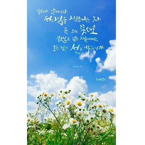 성경속의 사랑구절 . jpg | 인스티즈