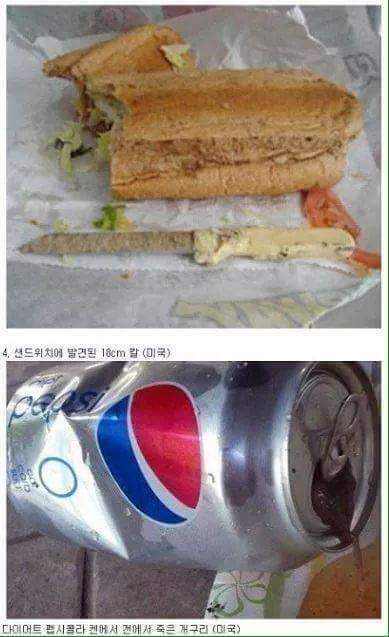 나라별 음식사고 (혐오주의) | 인스티즈