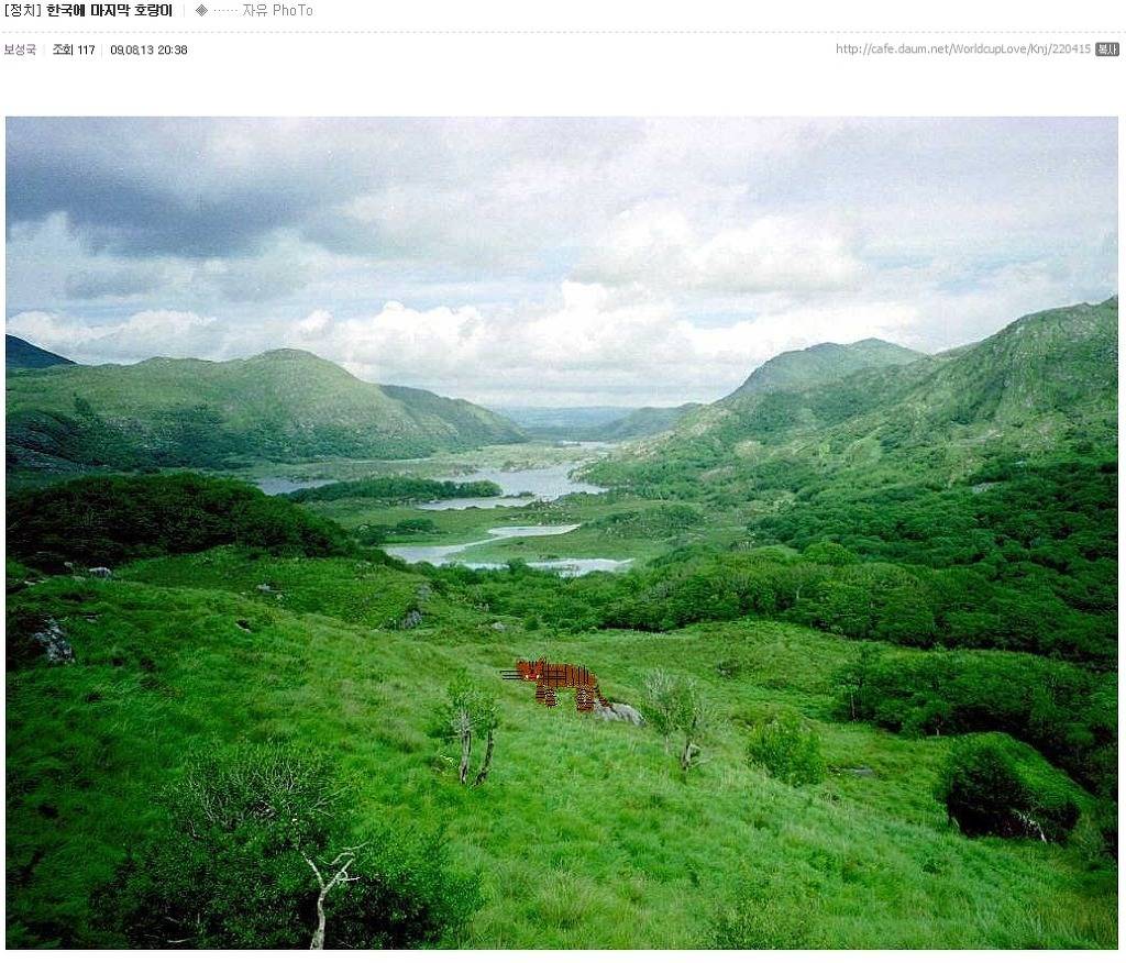 알사방에 강한 임팩트를 주고 떠나신 故보성국을 애도하며 | 인스티즈