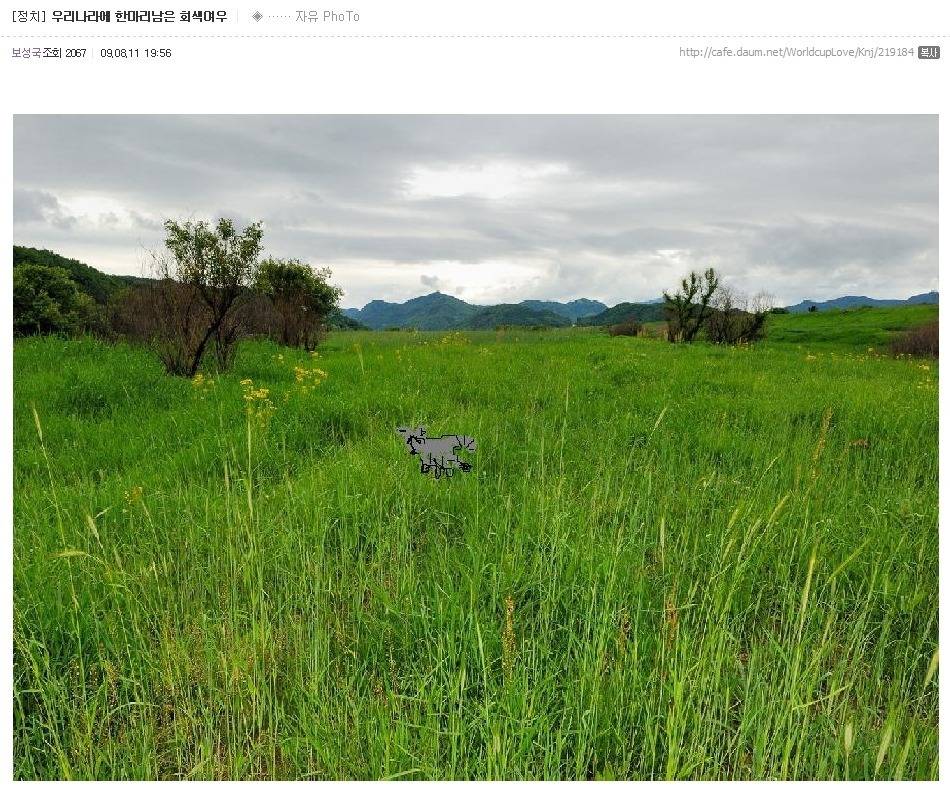 알사방에 강한 임팩트를 주고 떠나신 故보성국을 애도하며 | 인스티즈