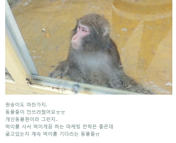 현재 난리난 동물농장 삼순이가 보내졌다는 부경동물원 상태..... | 인스티즈