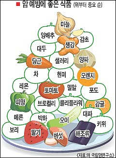 암을 예방하는 방법 암예방에 좋은 음식들 | 인스티즈