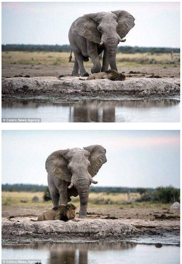 아저씨.. 여기서 자면 죽어요 | 인스티즈