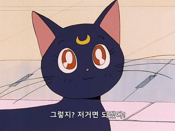 미소녀 전사 세일러문 (美少女戦士セーラームーン) 05 | 인스티즈