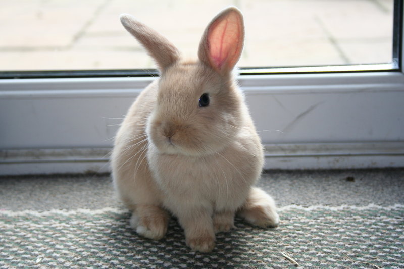 미친 세상에 어서오세요 | 인스티즈