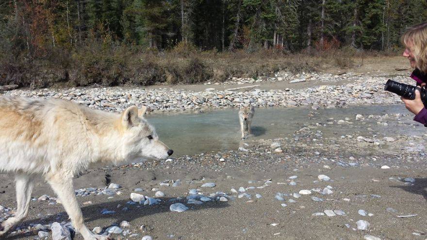 자연과 함께하는 사진작가들...jpg | 인스티즈