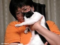 쉽게 이해하는 고양이에 관한 이야기 2 | 인스티즈