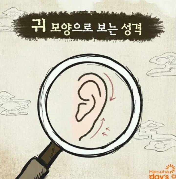 귀모양으로 보는 성격! | 인스티즈