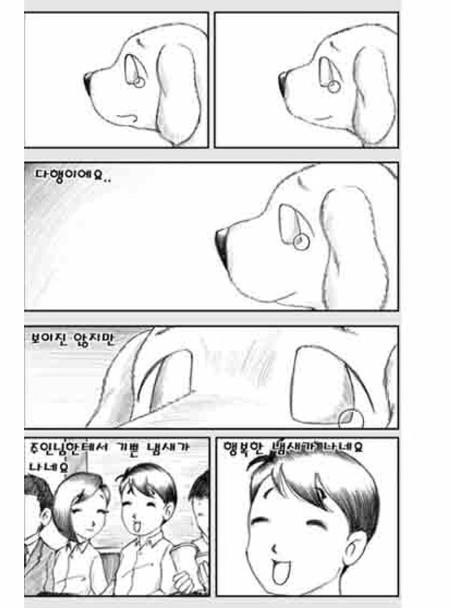 [눈물주의슬픔주의] 당신은 강아지에게 다정한 주인인가요? | 인스티즈