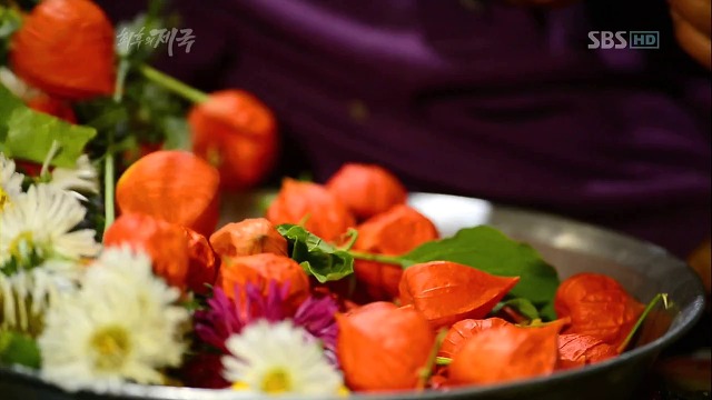 티벳 브록파 마을의 흔한 커플.JPG (부러움 주의) | 인스티즈