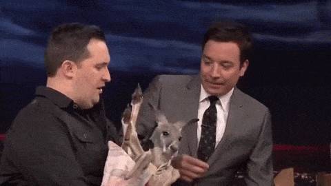 동물덕후들이 해외토크쇼를 부러워하는 이유 | 인스티즈