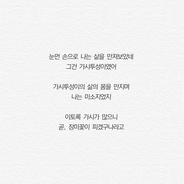 항상 염두해둬 너는 똑똑하고 소중하고 가치있는 사람이라는걸 | 인스티즈