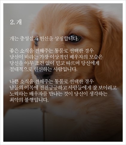 동물이 건네주는 편지로 알아보는 심리 테스트 | 인스티즈