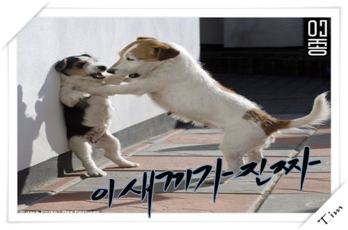 자기야~ 나 잡아봐라~.gif | 인스티즈