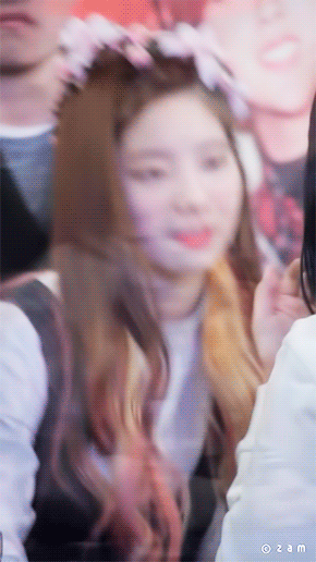 트와이스 멤버수.gif | 인스티즈