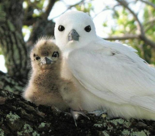 예쁜 새엄마 인증 | 인스티즈