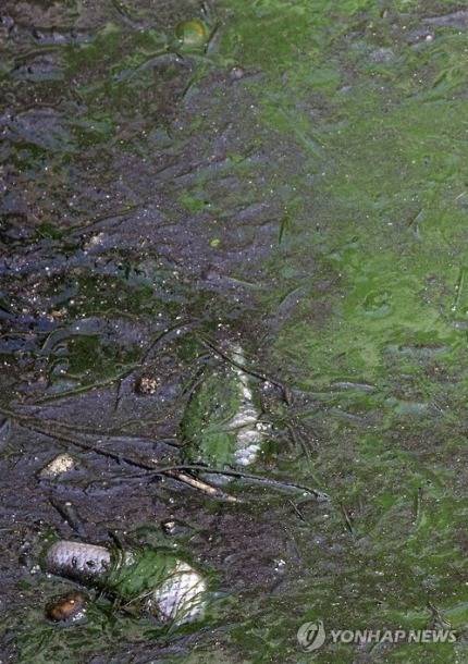 오늘자 한강.jpg | 인스티즈