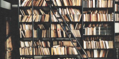  그대는 이 나라 어디 언덕에 풀꽃으로 흔들리느냐 | 인스티즈