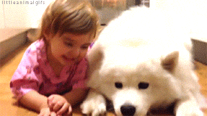 개와 아기를 함께 키우면 안되는 이유 | 인스티즈