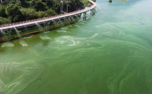 차기대통령이 꼭 해야할 목록들 top10 feat. ㄹ혜가 싼 똥 | 인스티즈
