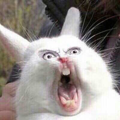 헌재 판결문 중 가장 소름돋았을 때 | 인스티즈