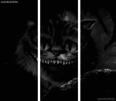 3D로 보는 움짤.gif | 인스티즈