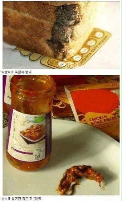 나라별 음식사고 (혐오주의) | 인스티즈