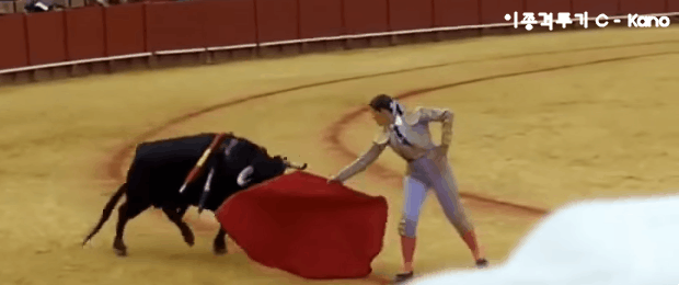 ♡♡♡ 론다 라우지 VS 홀리 홈 ♡♡♡ | 인스티즈